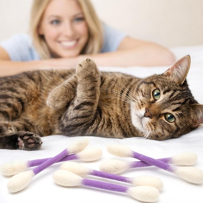 Glaciart One Swabs Cat Toys with Catnip - 6 Pk | Durable for Chew, Cute Cat Toys Interactive Kitty for Boredom, Exercise, & Play | Filled w/Organic Catnip for Anxiety & as Digestive Aid | Gift Idea