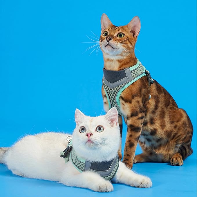 Cat Harness and Leash Set for Comfortable Outdoor Walking, Escape Proof, Adjustable Soft Kitten Vest Harness with Reflective Strip for Cats, Small Dogs (Mint Green, S)