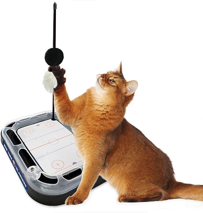 Pets First 5-in-1 NHL New York Islanders Hockey Field Cat Scratcher Toy with Interactive Cat Ball Bell