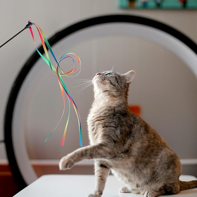 4 Pcs Ribbon Cat Toy,Interactive Cat Toy String,Colorful Kitten Toys Ribbon,Ribbons Toys for Cats for Indoor Cats for Kittens Teaser Training Exerciser Playing Accessories