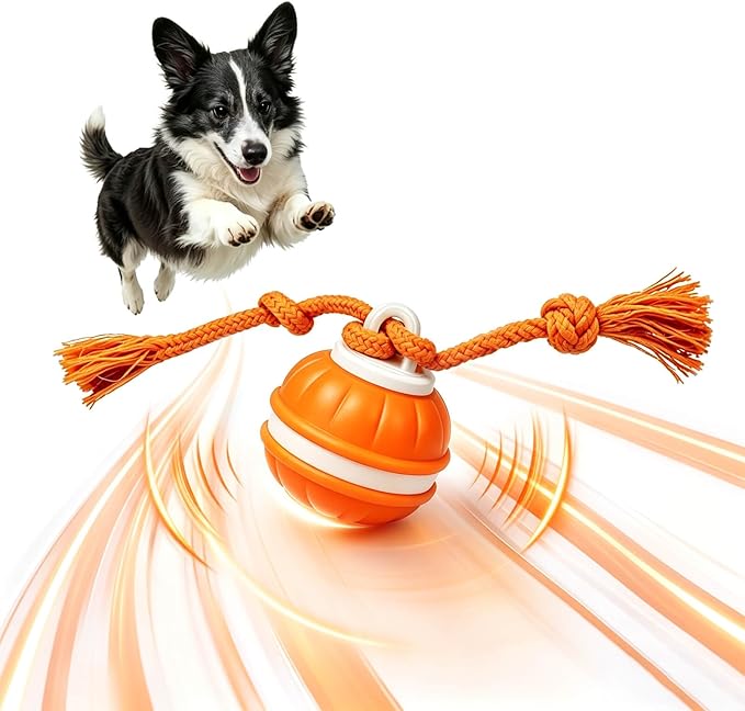 Interactive Dog Ball, 360° Self-Moving Dog Toy with LED Lights & Squeaker, Automatic Fetch Toy for Boredom & Training, USB-C Rechargeable Smart Pet Toy for Small Medium Dogs & Cats