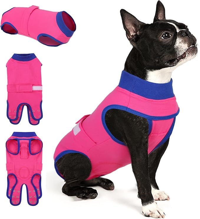Queenmore Recovery Suit for Dogs Cats After Surgery,Dog Surgical Recovery Suit Onesie,Anti Licking Pet Female Spayed Neutered Puppy Surgical Clothes for Abdominal Wounds, Substitute E-Collar & Cone