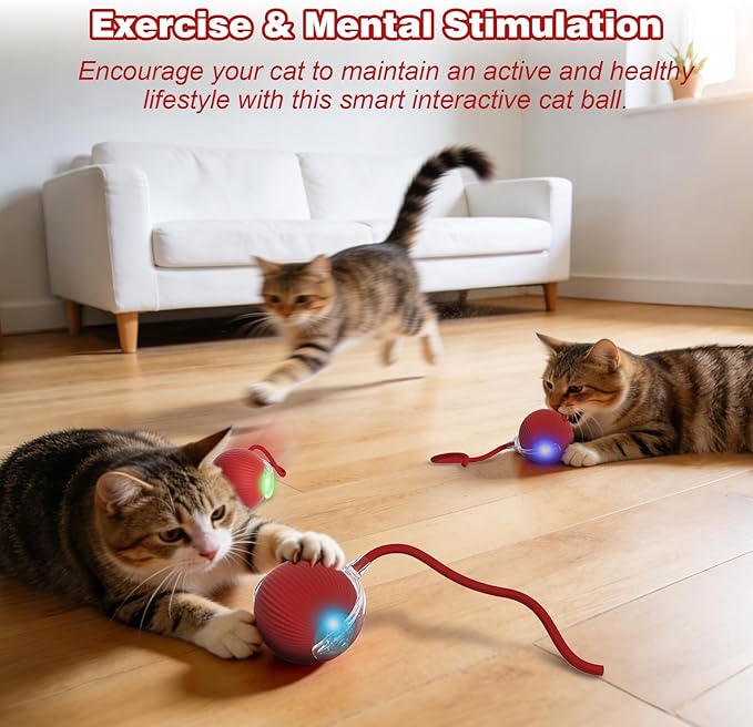 Interactive Dog Cat Toys Balls 360° Smart Automatic Rolling Interactive Rolling Ball Cat Toy Pet Ball Fast Moving Toy for Dog and Cat(Red)
