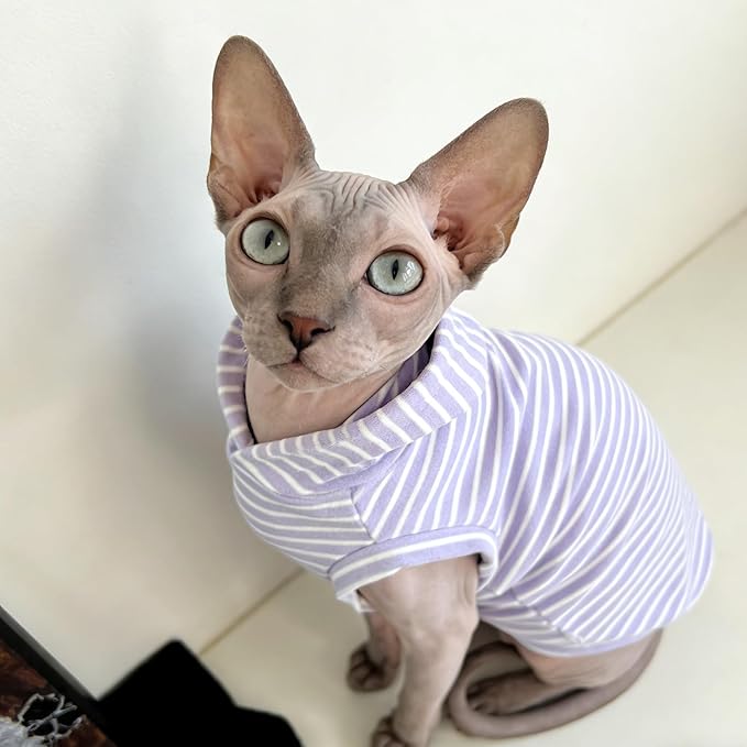 Sphynx Cat Clothes for Cats Only,Classic Striped Hairless Sphinx Cat Clothes Hoodie Shirts, Soft Kitten Sweater Pets Apparel Outfits for Devon Rex, Cornish Rex, Peterbald,Purple,L
