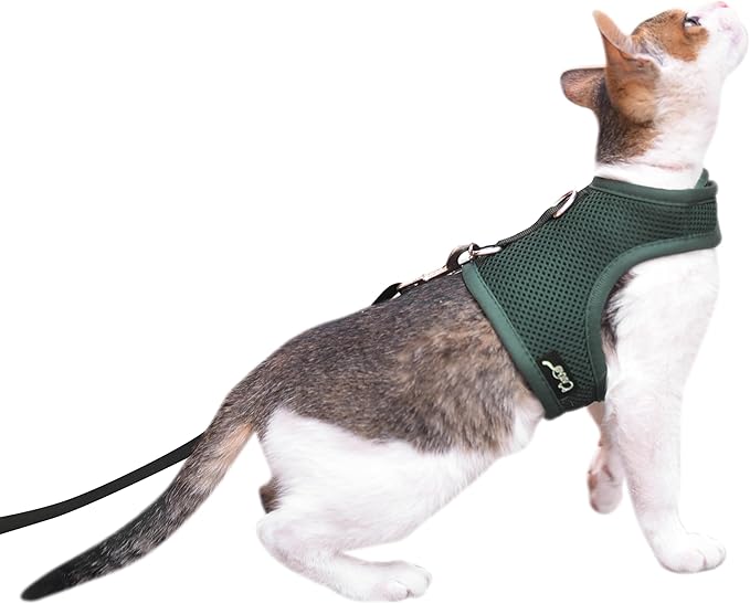 Cat Harness and Leash for Walking Escape Proof Breathable Mesh Fabric, Solid Green, XX-Large, Adjustable Cat Walking Jackets, Padded Stylish Cat Vest
