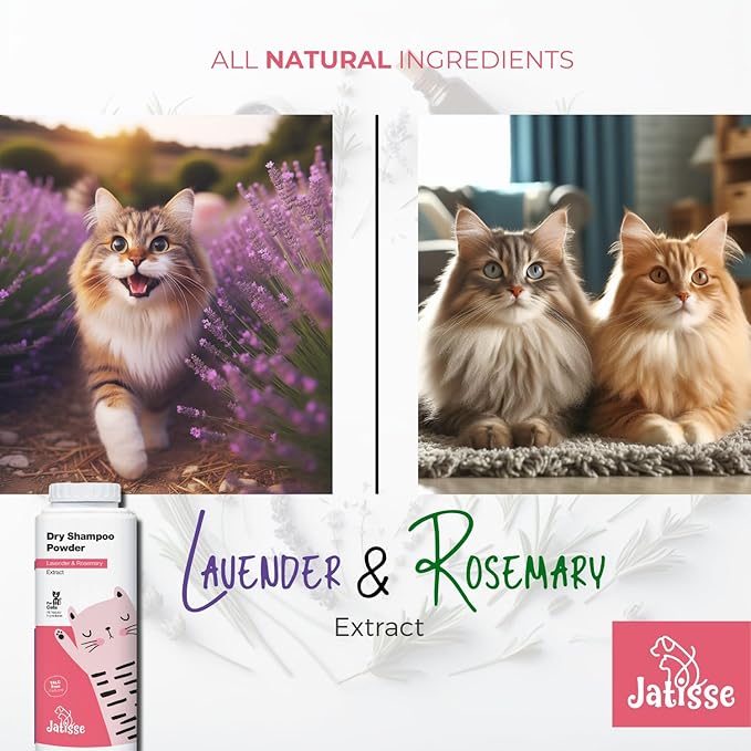 Cat Dry Shampoo Powder (2 Pack) with Lavender and Rosemary for Cats 5.29 fl. oz| Grooming for Cat | Kitten Sensitive Skin | Cleansing and Moisturizing Perfume and Talc Free (2)