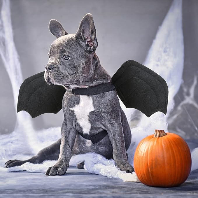 Rypet Dog Halloween Costume, Halloween Bat Wings Pet Costumes for Dogs Cats Halloween Party Large