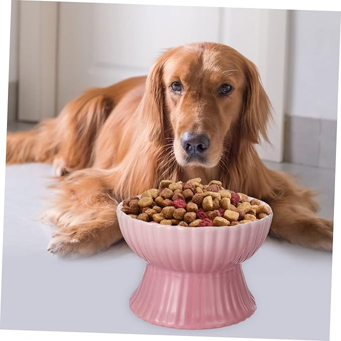 VICASKY Elevated Pet Food Bowl for Cats and Dogs Stylish Design Supports Healthy Eating Posture Easy Daily Feeding Vertical Stripes