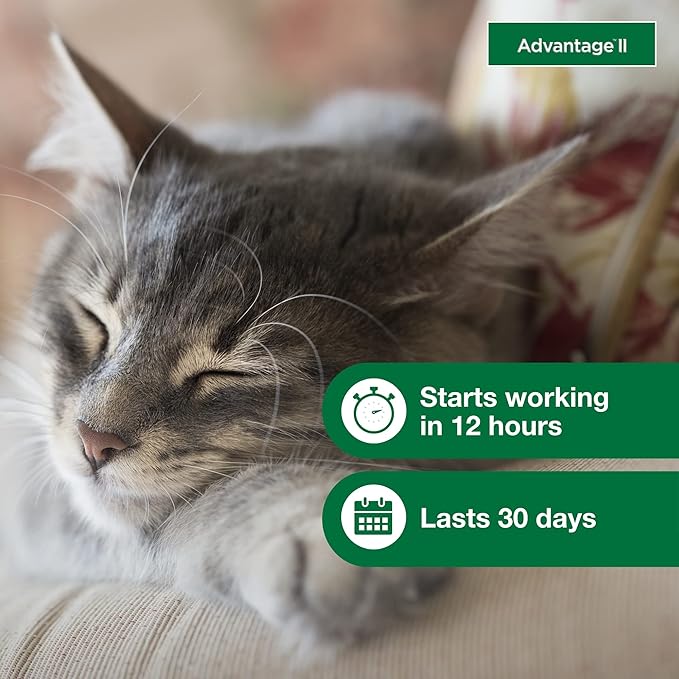 Bundle of Advantage II Small Cat| Cats 5-9 lbs. | 6-Month Supply + Pet Protect Probiotic Balance+ Cat Supplement | Oral Gel | 15g