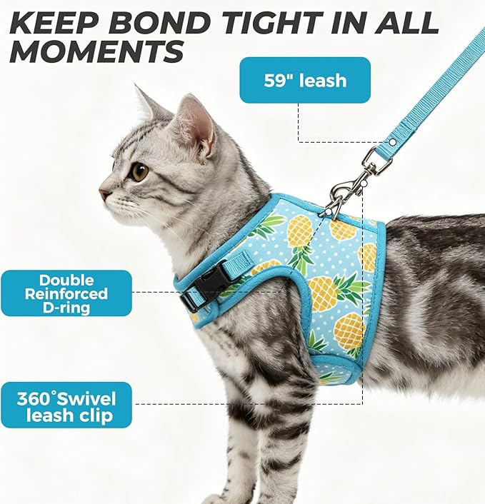 BINGPET Cat Harness and Leash Set Escape Proof, Fashionable Adjustable Mesh Harness for Walking, Soft Cute Breathable Easy Control Cat Vest for Kitten Puppy Small Medium Large Cats