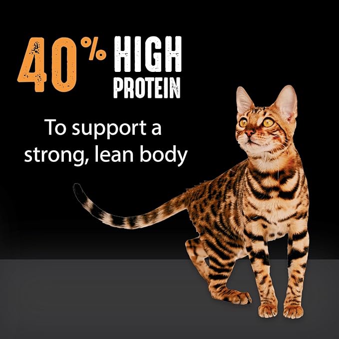 CRAVE Grain Free Adult High Protein Natural Dry Cat Food with Protein from Chicken, 4 lb. Bag