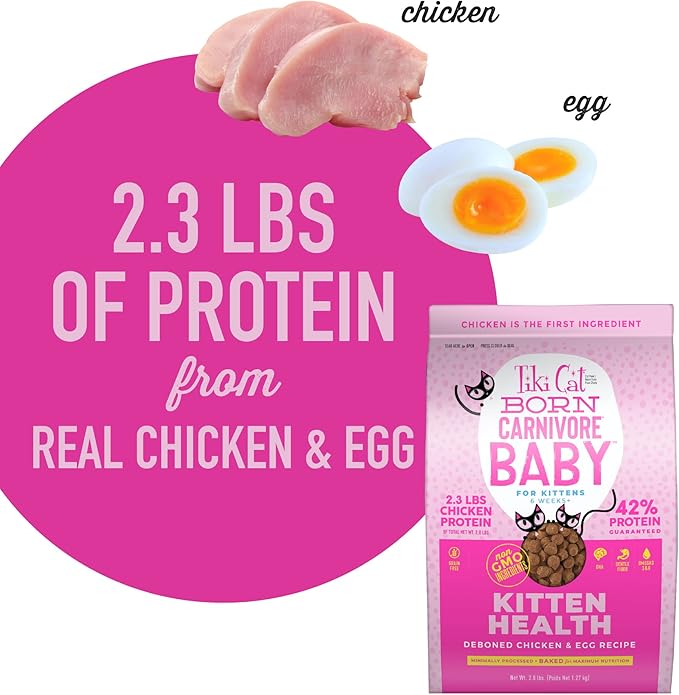 Tiki Cat Born Carnivore Baby, Chicken & Egg, 2.8 lbs Bag