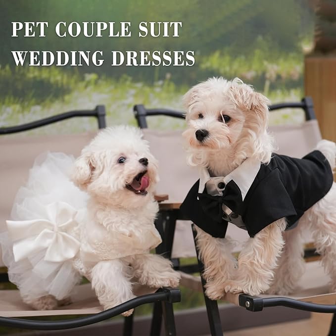 Dog Dress Wedding Outfits, Princess Lace Tutu Strappy Skirt for Female Puppy Small Medium Dogs Girl Cats Costume (Embroidery Dress, X-Small)