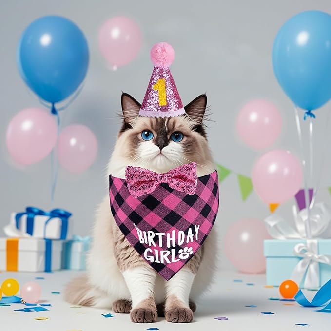 Cat Birthday Decorations, Pink Girl Cat Birthday Bandana Hat Numbers Bowtie for Cats Party Outfits