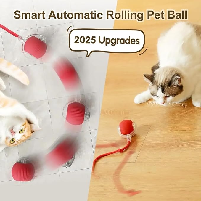 Cat Interactive Ball - Rechargeable, Motion Chase Toy, Self-Moving Kitten Toy for Indoor Playing, Fast on Carpet