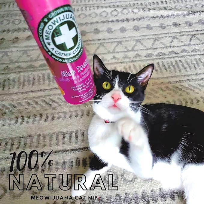 Meowijuana | Catnip Bundles | Organic | High Potency Cat Treats | Perfect for Cat Toys | Grown in The USA | Feline and Cat Lover Approved (Mice Dreams Catnip Bottle Bundle)
