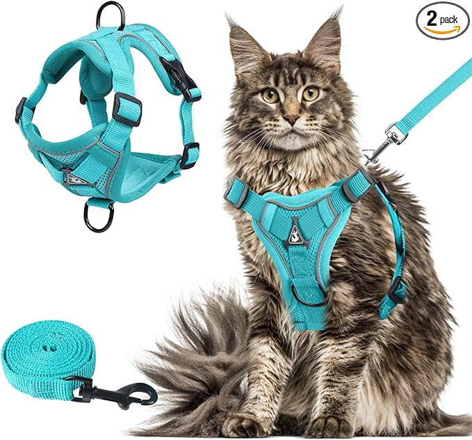Wanheart Summer cat Chest Harness and Leash, Anti-Escape Adjustable Soft mesh cat Leash and Chest Harness Set for All Types of Cats cat Vests (Emerald, XL)