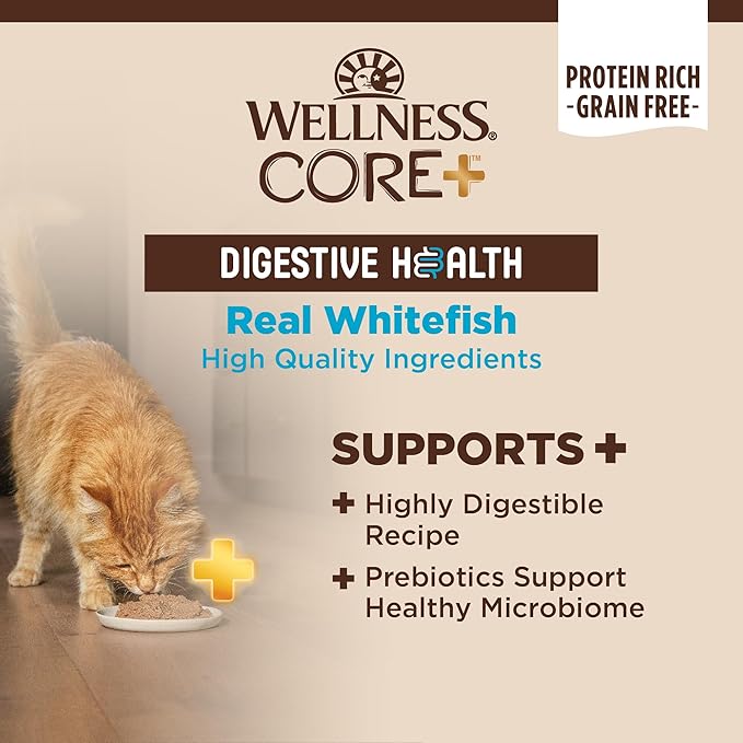 Wellness CORE+ Digestive Health Pate Adult Canned Wet Cat Food, Natural, Protein Rich, Grain Free, Whitefish Recipe, 3 oz, Pack of 12 Cans