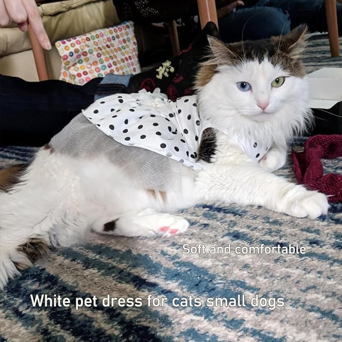 ANIAC Floral Cat Bridal Wedding Dresses Polka Dogs Small Dog Dress Female Ball Gown Puppy Princess Tutu Skirt Stretchy Pet Clothes for Spring Summer (White, Medium)