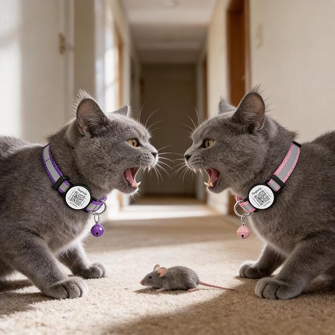 Smart Lost Pet Solution: QR Code Cat Collar Breakaway with Online ID, 2 Pack Reflective Adjustable Collar with Bells (7.5-12.5 Inch) for Indoor/Outdoor Cats, Purple by TAGHELP