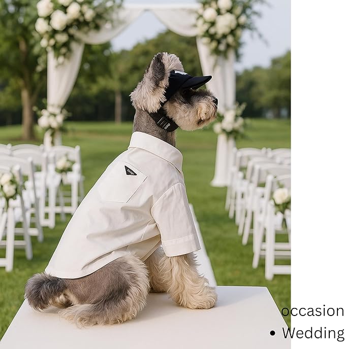 Luxury Pet Shirt for Hairless Cats – White Designer Button-Up Outfit, Formal Clothes for Wedding, Party, Photoshoot, Boy Puppy Kitten Sphynx (X-Small 2.2-3.3 lbs)