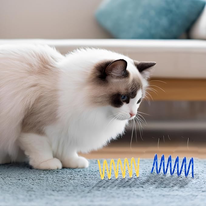100 Pack Cat Spring Toys, Cat Spiral Spring for Indoor Cats, Colorful Plastic Coils Kitten Toys Interactive for Hunting, Biting, Swatting