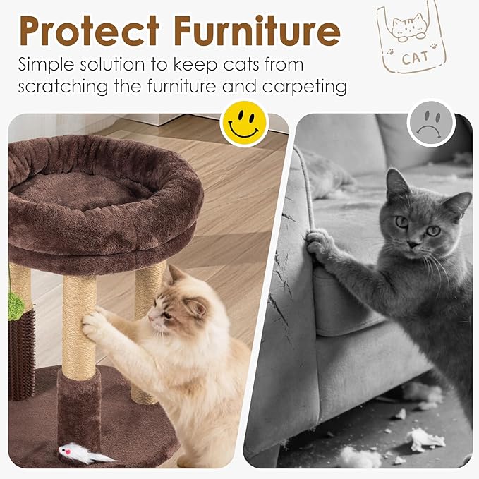 21” Tall Cat Scratching Post with Plush Cat Bed | Stable Cat Tree for Indoor Cats, Interactive Toy & Grooming Brush Included