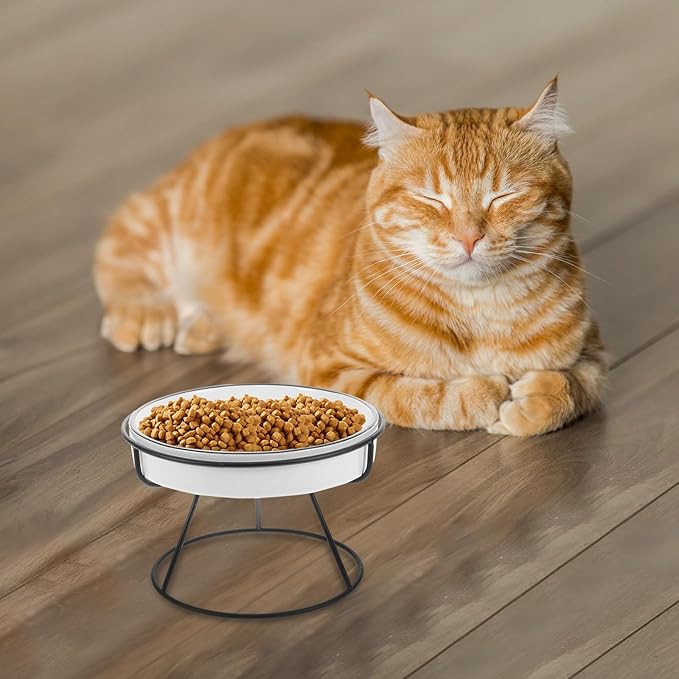 Elevated Ceramic Cat Feeding Bowl with Iron Stand, Slow Feed Raised Pet Bowl for Cats and Small Dogs, Whisker-Friendly Slow Eating Dish for Indoor Use