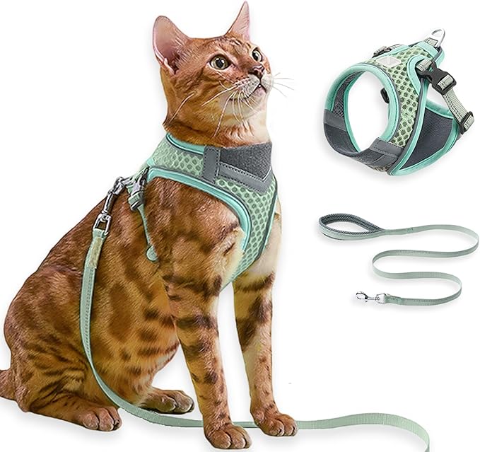 Cat Harness and Leash Set for Comfortable Outdoor Walking, Escape Proof, Adjustable Soft Kitten Vest Harness with Reflective Strip for Cats, Small Dogs (Mint Green, M)