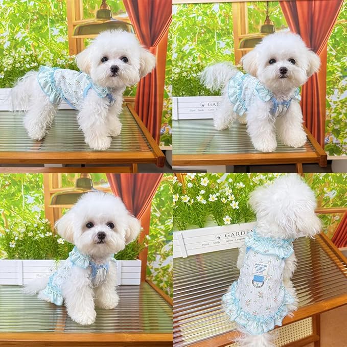 Dog Cat Cooling Summer Dress with D-Ring, Ice Silk Mesh Breathable Pet Clothes, Anti-UV Mosquito Proof, High Elastic Ruffle Dress & Half Belly Cover for Small Dogs Cats(Sky Blue, Small)