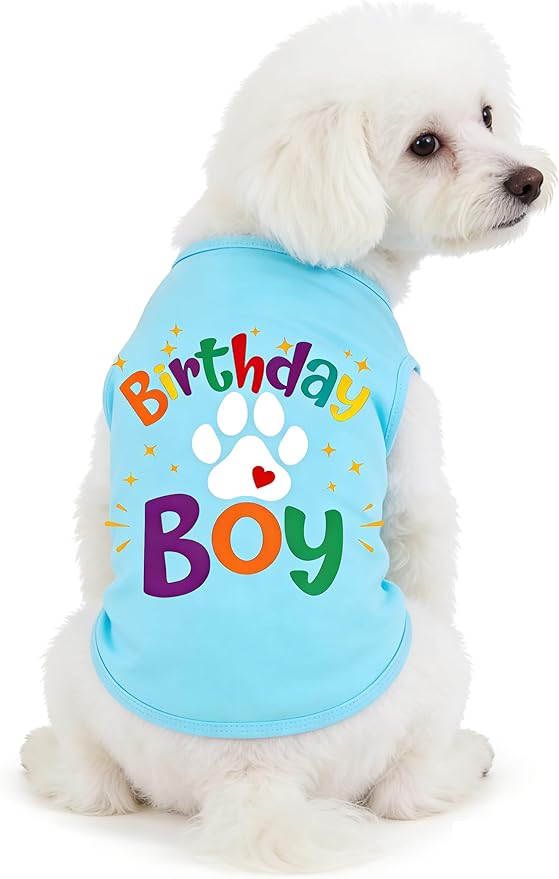 3-Piece Small Dog Happy Birthday Boy Shirt Colorful Clothes & Bandanas & Toy Gift L