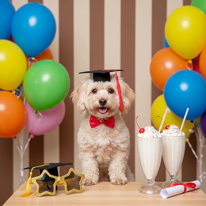 Mini Graduation Caps with Gold and Red Tassel, 2 Pack Black Mini Graduation Caps, Small Animal Bachelor Hats for Adjustable Pet Graduation Photo Props Cat Dog Holiday Costume Accessories
