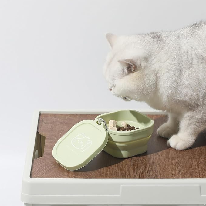 Foldable Pet Bowl Collapsible Dog Cat Bowls with Carabiners for Travel Portable Food Water Feeder for Hiking Park Light Green One Size