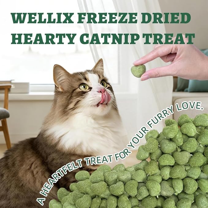 Wellix Catnip Treats Freeze-Dried Cat Treats, Grain-Free Snacks with Chicken, Cat Grass & Catnip for Cats Digestive Support Healthy Skin&Coat, Healthy Feline Training Treats for Indoor Cats, 3oz