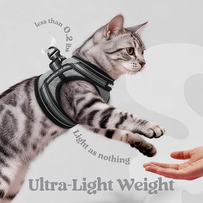 rabbitgoo Cat Harness and Leash Set for Walking Escape Proof, Adjustable Soft Kittens Vest with Reflective Strip for Cats, Comfortable Outdoor Vest, Grey, M