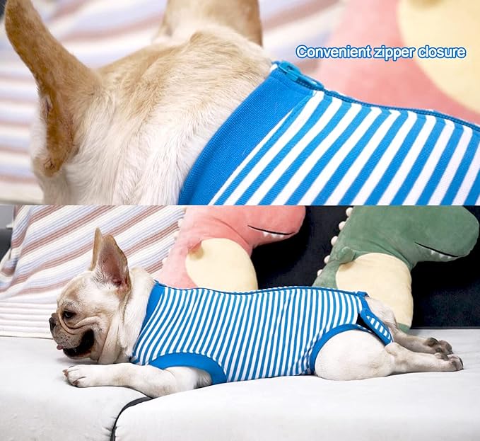 Dog Blue Recovery Suit for XX-Large Female Spay,Male Dog Surgery Suit,Narrow Blue-White XXL