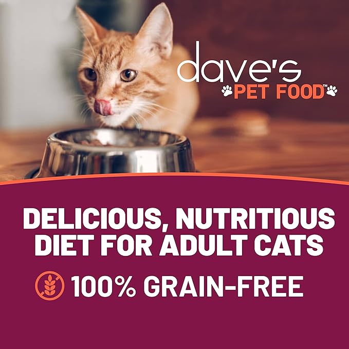Dave's Pet Food Grain Free Wet Cat Food (Minced Chicken in Gravy), Naturally Healthy Canned, Added Vitamins & Minerals, Wheat, Gluten & GMO-Free, 2.8 oz (12 Pack)