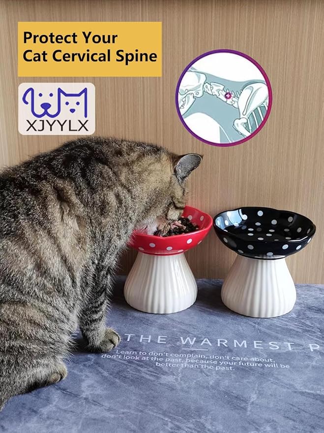 Mushroom Elevated Cat Bowls Ceramic, Raised Cat Bowl for Indoor Cats, Cute Whisker Fatigue Cat Bowl, Raised Dog Bowls Stand for Food and Water, Black 6" Wide for Adult Cats