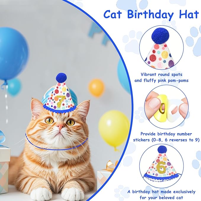 5Pcs Cat Birthday Decorations, Adjustable Cat Birthday Hat Bandana Tutu Skirt Collar Bow & 9 Number Stickers 0-8, Kitten Costume Outfit Decorations for Anniversary of Birth, Small Dog Friendly (Blue)