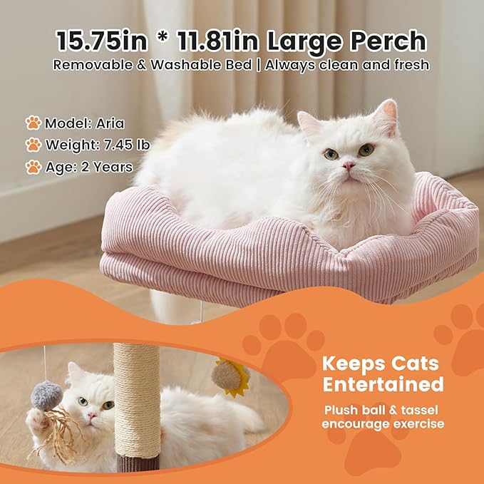 Gardner Pet 20" Cat Tree Corduroy, Solid Wood Small Cat Tree for Kittens & Indoor Cats (Brown, Square-Corduroy)