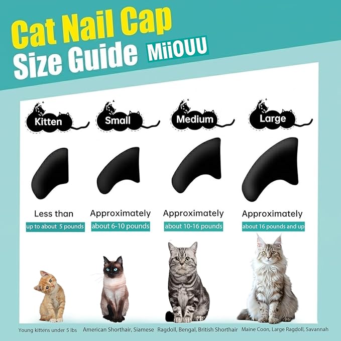 100 pcs Cat Nail Caps | Cat Claw Covers with Adhesives and Applicators | Black (L)