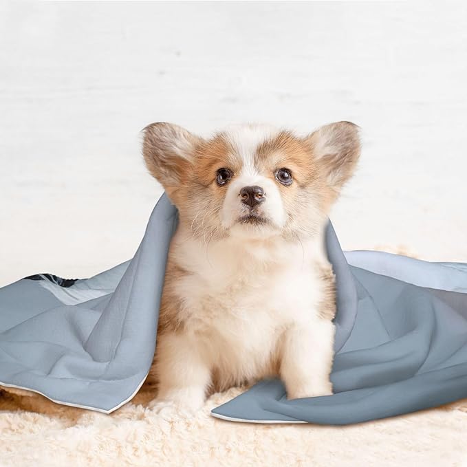 Cat Dog Blanket Japanese Crane Ultra Soft Warming Mat for Indoor Pet Beds Furniture 27.6 X 19.7inch
