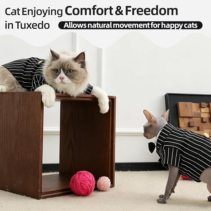 QBLEEV Cat Tuxedo Outfit, Formal Cat Suit Costume with Bow Tie, Sphynx Hairless Clothes for Cats Only, Kitten Wedding Birthday Party Attire Apparel for Male Boy, Cute Small Pet Gentleman Formal Wear