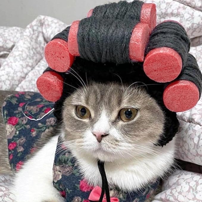 Cat Wig Funny Cute Cat Costume Hat Hair Roller Accessories Dress Up Clothing Festival Party (Yellow Roller)