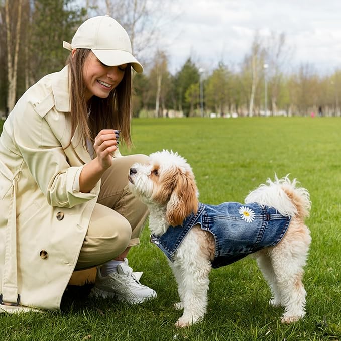 Dog Denim Jacket with Embroidered Daisy, Ripped Vintage Jean Vest for Small Dogs, Puppy, Pugs, Chihuahuas, Spring Summer Fall Festival Outfit, XS (Fits Chest 9-10")