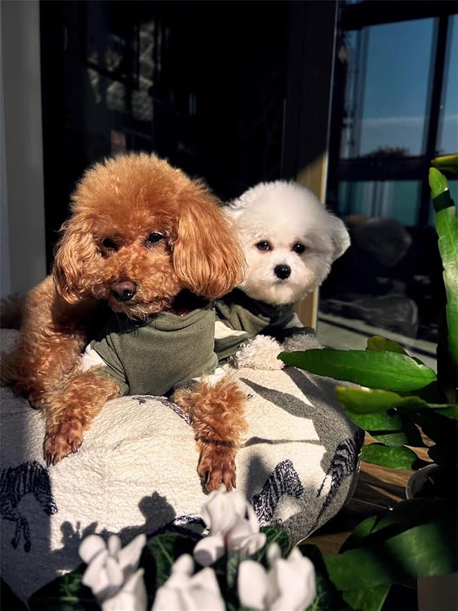 Small Dog Sweaters for Dogs Girls Boys, Heart Love Pattern Puppy Clothes, Puppy Pullover Outfit (Dark Green, Small)
