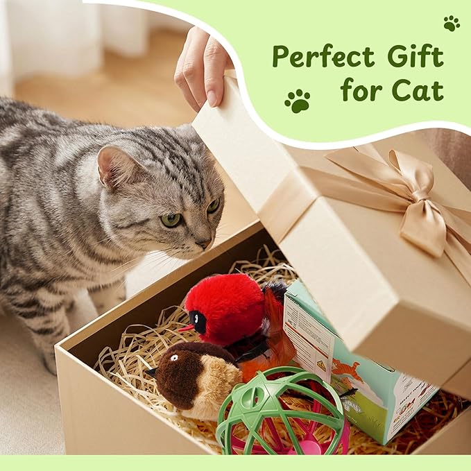 Cat Toys for Indoor Cats - Interactive Ball Cage Cat Toy with Realistic Bird Sounds & 2 Catnip Plush Toys, Motion-Activated Hunting Simulation Toy for Cats