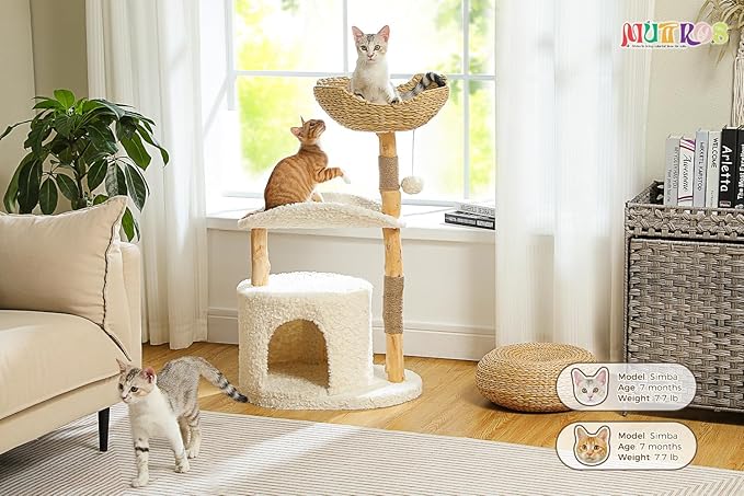 MUTTROS Modern Cat Tree Tower for Large Cats, Wood Cat Tower with Natural Scratching Post, Solid Wood Condo, Real Branch Luxury Cat Furniture with Curved Bed, Top Basket, White