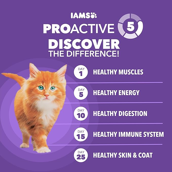 IAMS Proactive Health Kitten Dry Cat Food, Healthy Kitten Food Dry Recipe with Real Chicken in Every Bite, 16 Lb. Bag