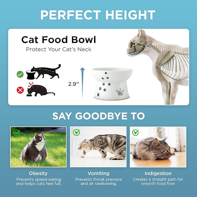 Necoichi Raised Cat Food Bowl – Ceramic Elevated Cat Bowl for Whisker & Neck Fatigue, Dishwasher Microwave Safe – Non-Slip & Anti Vomiting Ergonomic Design (Cats, Regular, 1-Cup Capacity)